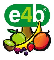 E4B logo
