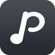 Playground.fm logo