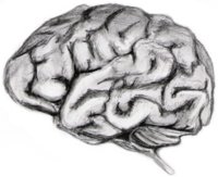 BrainPowered logo