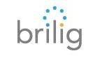 Brilig logo