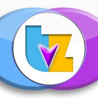 Tagzidy logo
