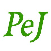 PistaEnJuego logo