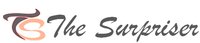 TheSurpriser Flowers and Gifts to India logo