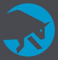 SkyBulls logo
