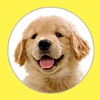 Puppystream logo