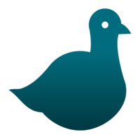 Pijon logo