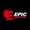 Epic Fighting -  entertainment industry