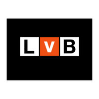 BraunCube logo