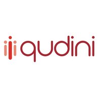 Qudini logo