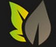 old logo