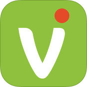 Vidigami Media logo
