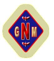 Global Network Marketing, SRL logo
