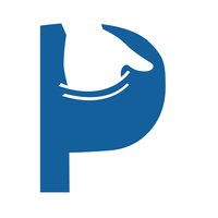 Pockiz logo