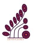 Devi's Closet logo