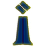 Intelligent Digital Interface Adapters logo