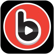 vidbid logo