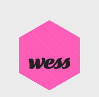 WESS Digital logo