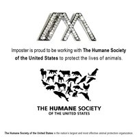 Imposter logo