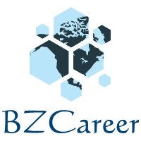 BZCareer logo