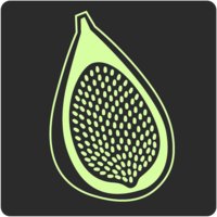 FastFig logo