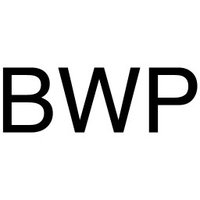 Bang With Professionals logo