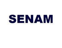 SENAM logo