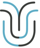 Fitfully logo
