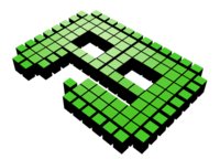 Play Go logo