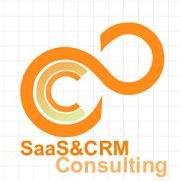 SaaS&CRM Consulting logo