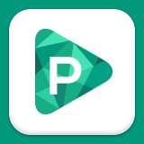 Perceptar logo