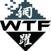 WTF Limited logo