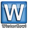 Winterkewl Games -  video games