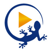 Liztic logo