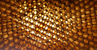 Beehive logo