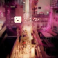 Vidiam logo