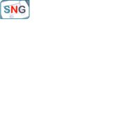 SocialNetGain logo