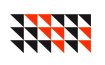 ligertail logo