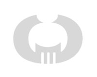 IonTurtle logo