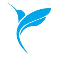SkyWard logo