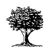 The Yucaipa Companies logo