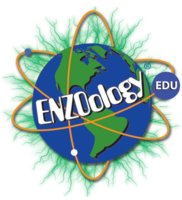 Enzoology Education logo