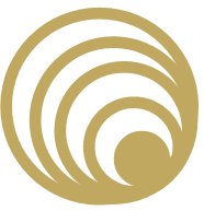Nerrvana logo
