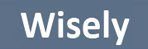 Wisely.TV logo