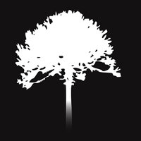 Monkey Puzzle Media logo
