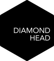 Diamond Head Properties logo
