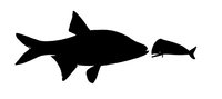 Minnow Beats Whale logo