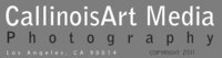 CallinoisArt Media logo