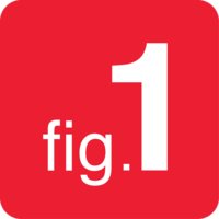 Figure 1 logo