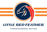 2014 Derby Dreams logo