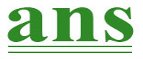 Ambey Network Systems logo